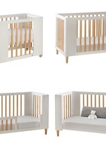 Cocoon Cocoon Evoke