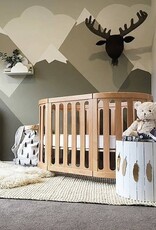 Chukles Cocoon Nest Cot (inc Mattress Set)
