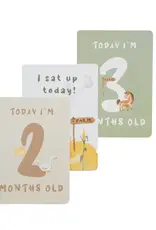 Living Textiles Living Textiles Milestone Cards