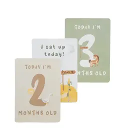 Living Textiles Living Textiles Milestone Cards