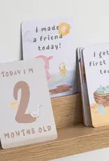 Living Textiles Living Textiles Milestone Cards