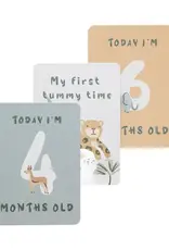 Living Textiles Living Textiles Milestone Cards