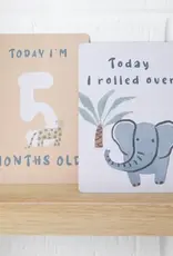 Living Textiles Living Textiles Milestone Cards