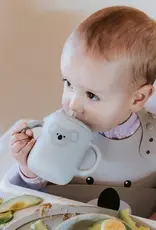 Bubba Blue Bubba Blue Koala Feeding 5 piece Gift Set