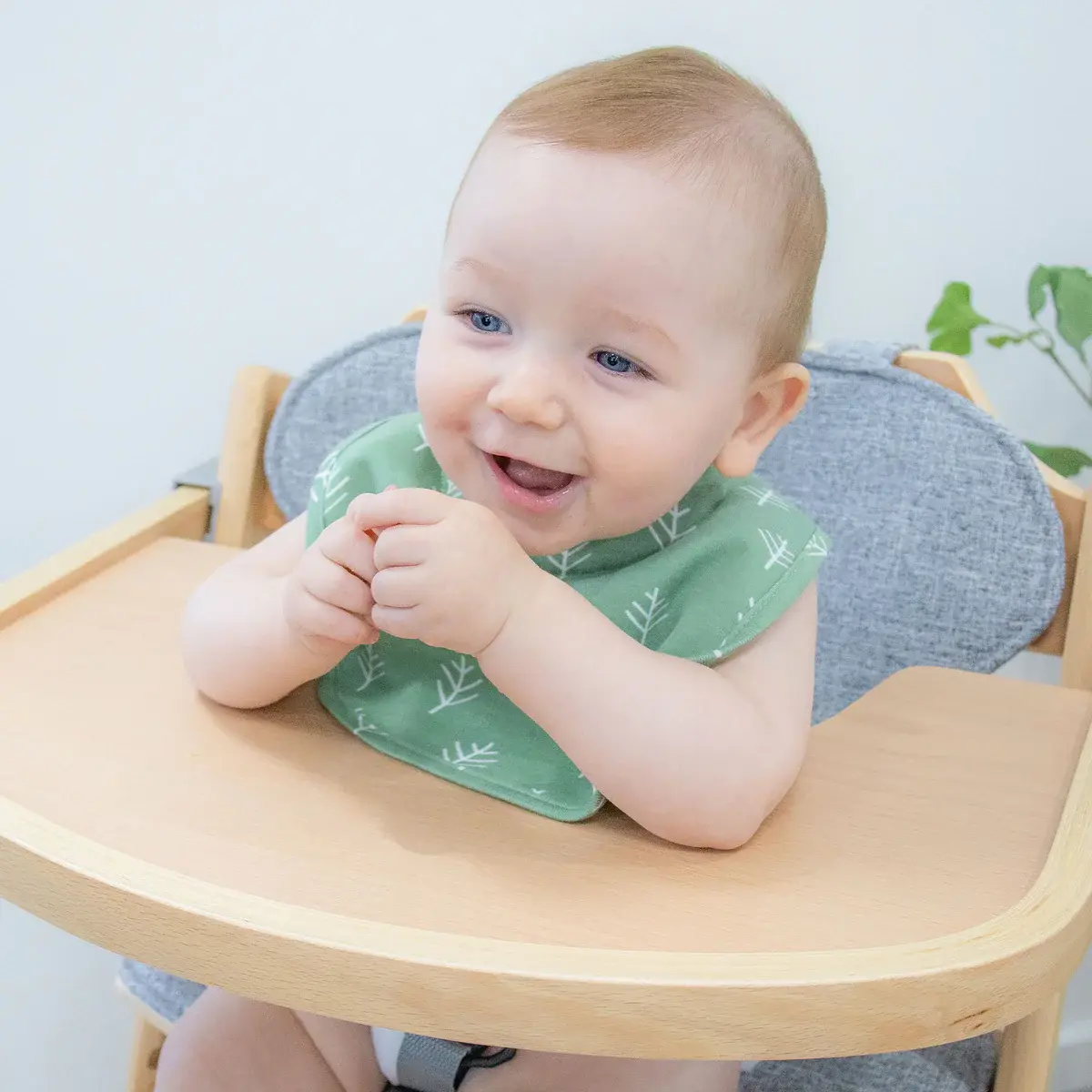 Bubba Blue Bubba Blue Nordic 2pk Dribble Bib