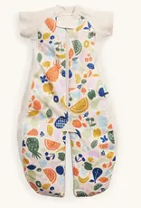 ErgoPouch ErgoPouch Sleep Suit Bag 1.0 Tog