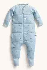 ErgoPouch ErgoPouch 2.5 Tog Sleep Onesie Dragonflies