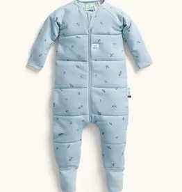 ErgoPouch ErgoPouch 2.5 Tog Sleep Onesie Dragonflies
