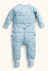ErgoPouch ErgoPouch 2.5 Tog Sleep Onesie Dragonflies