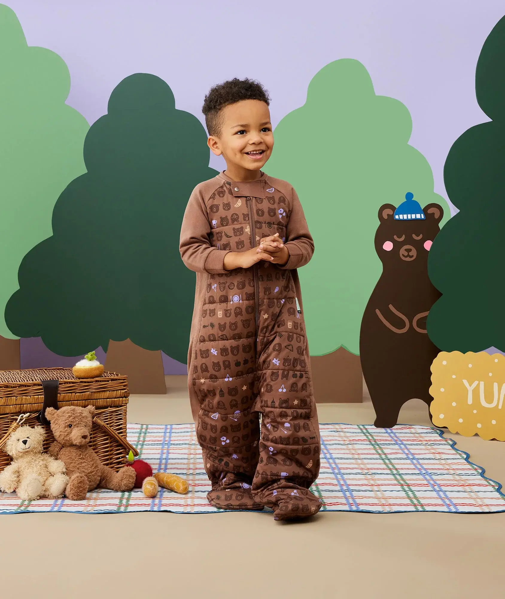 ErgoPouch ErgoPouch 2.5 Tog Sleep Suit Bag Picnic