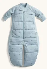 ErgoPouch ErgoPouch 2.5 Tog Sleep Suit Bag Dragonflies