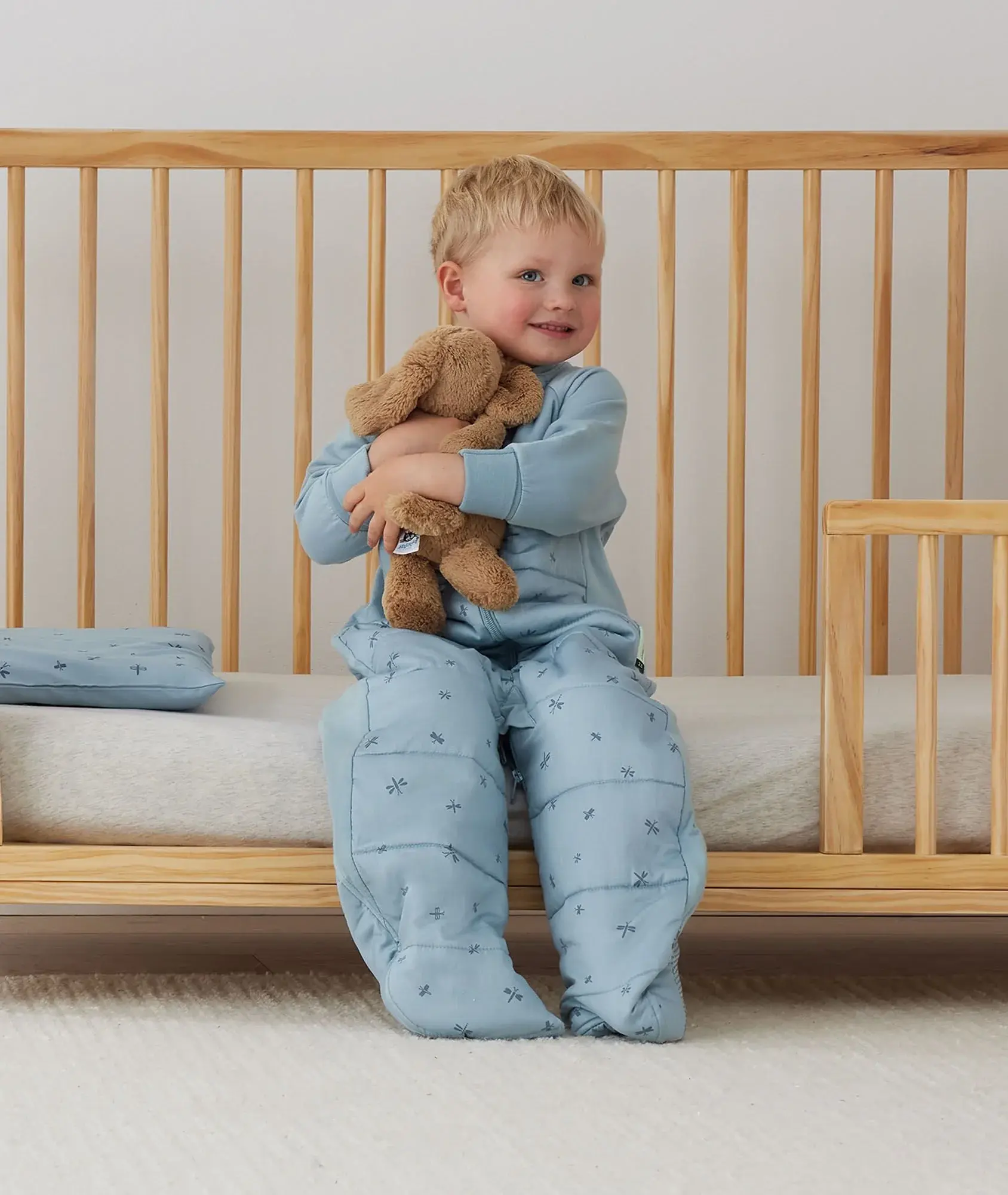 ErgoPouch ErgoPouch 2.5 Tog Sleep Suit Bag Dragonflies