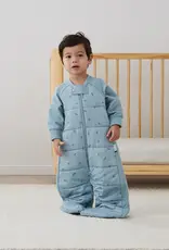 ErgoPouch ErgoPouch 2.5 Tog Sleep Suit Bag Dragonflies