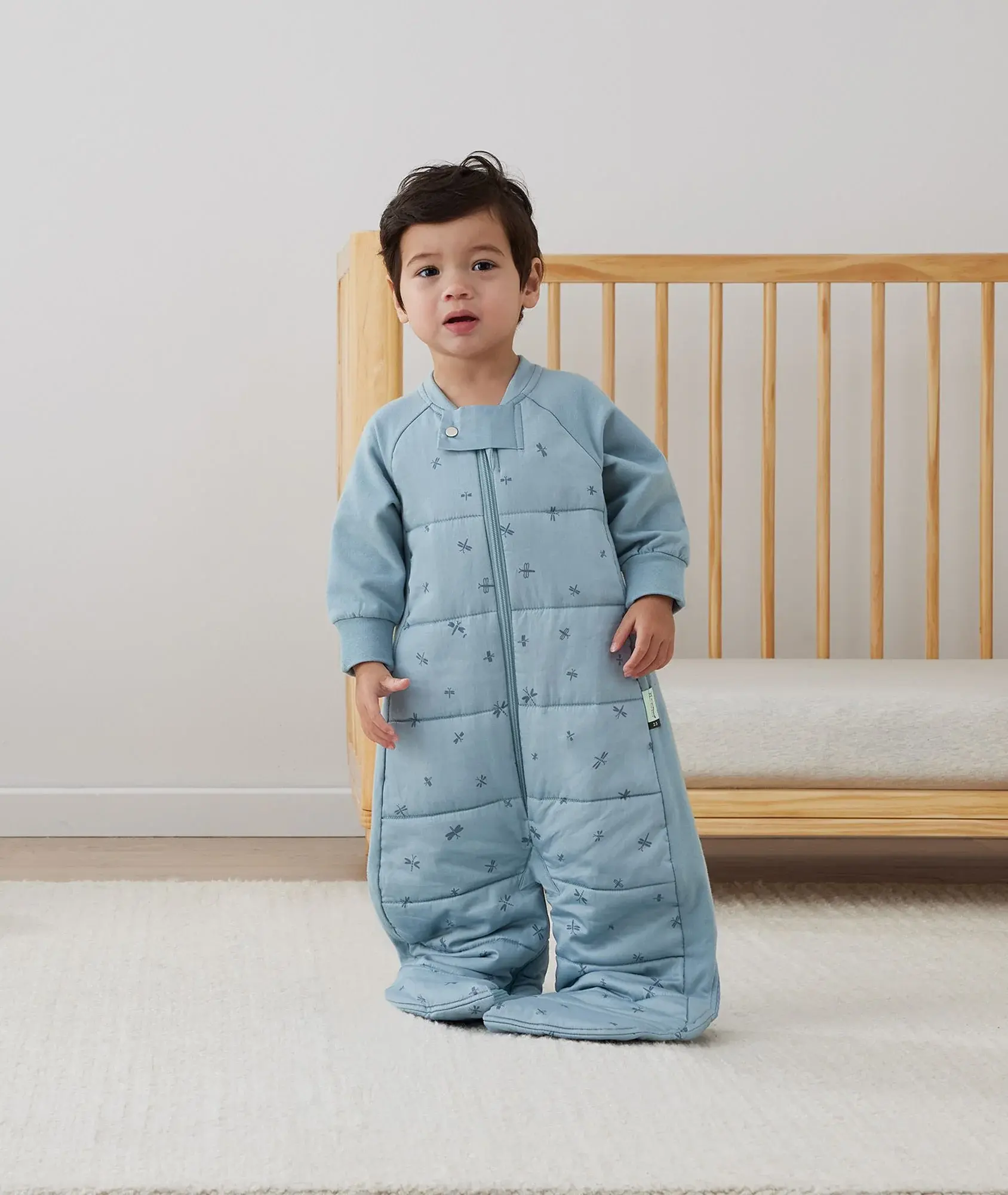 ErgoPouch ErgoPouch 2.5 Tog Sleep Suit Bag Dragonflies