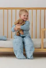 ErgoPouch ErgoPouch 3.5 Tog Sleep Suit Bag Dragonflies