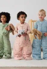 ErgoPouch ErgoPouch 2.5 Tog Sleep Suit Bag Daisies