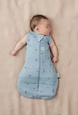 ErgoPouch ErgoPouch Cocoon Swaddle Bag 3.5 Tog Dragonflies