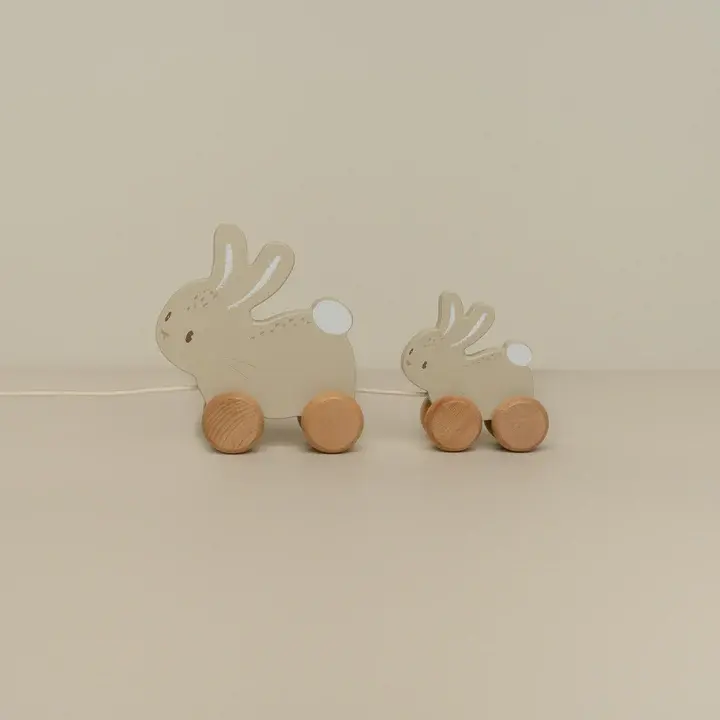 Little Dutch Little Dutch Pull Along Bunnies - Baby Bunny