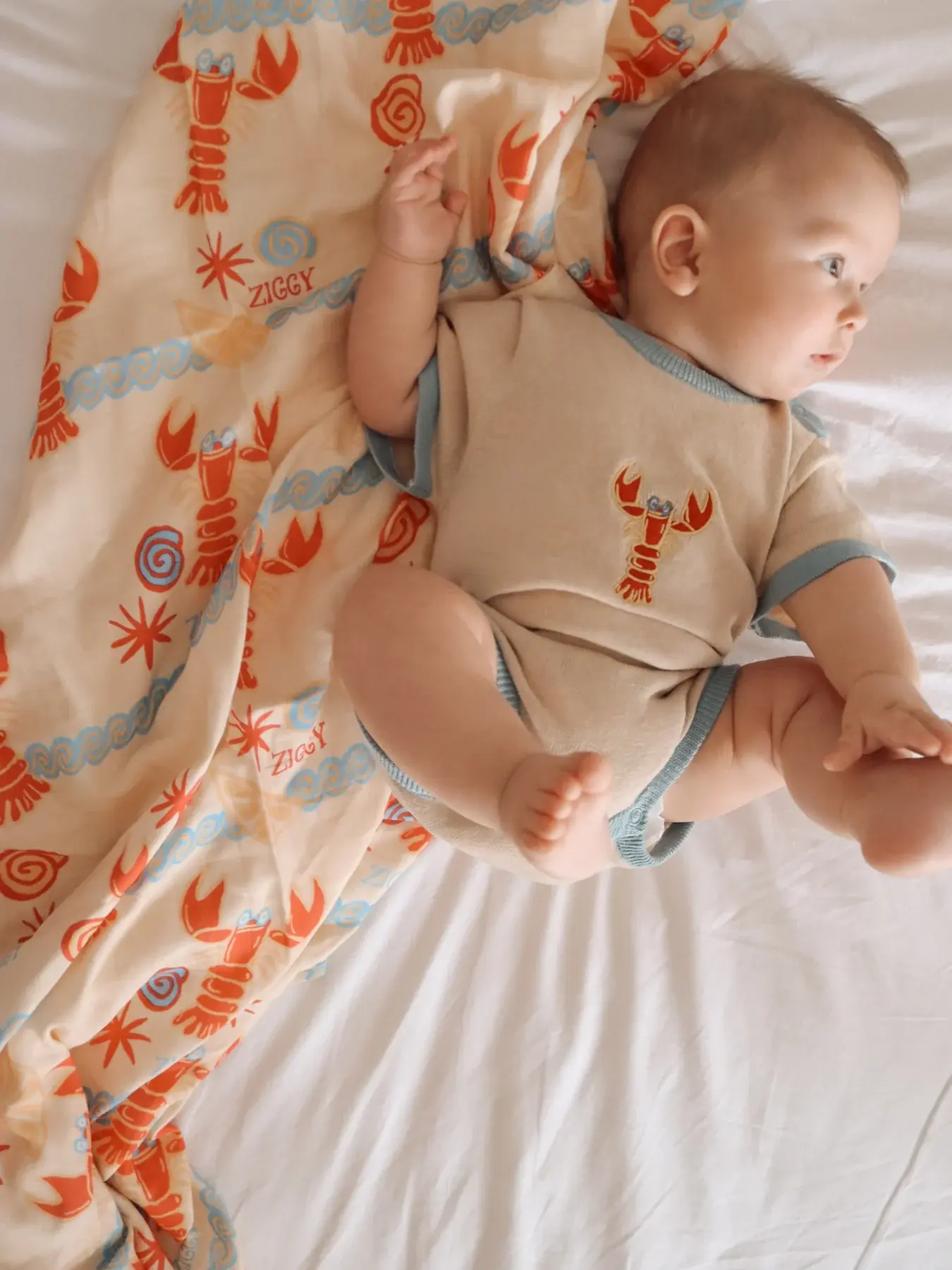 Ziggy Lou Ziggy Lou Swaddle Costa