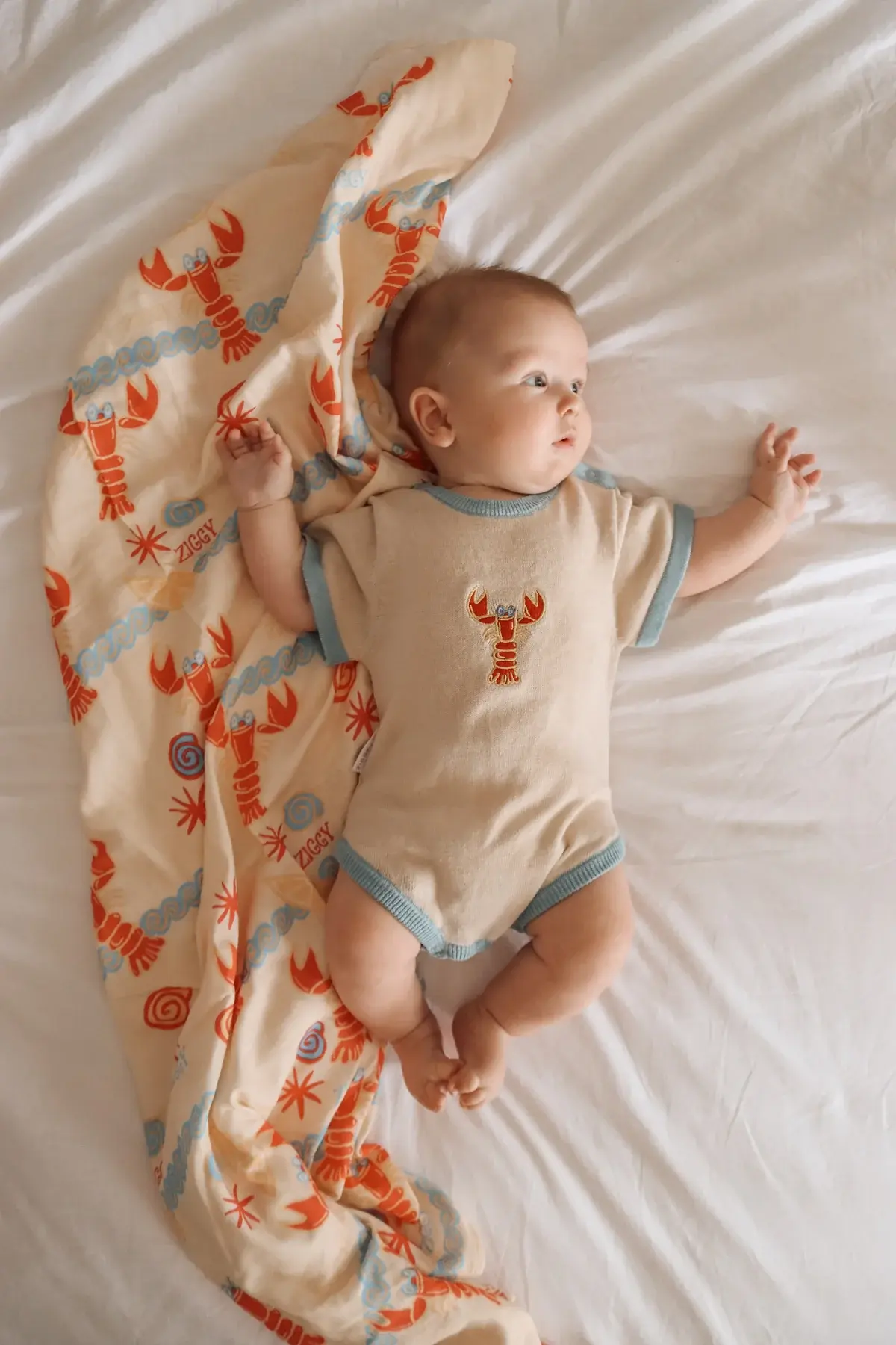 Ziggy Lou Ziggy Lou Swaddle Costa