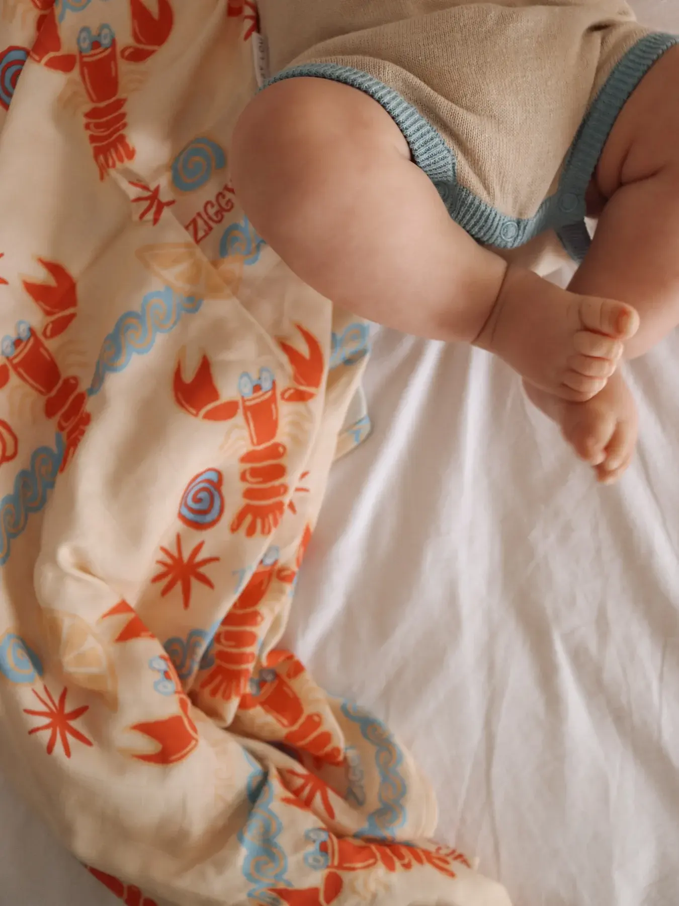 Ziggy Lou Ziggy Lou Swaddle Costa