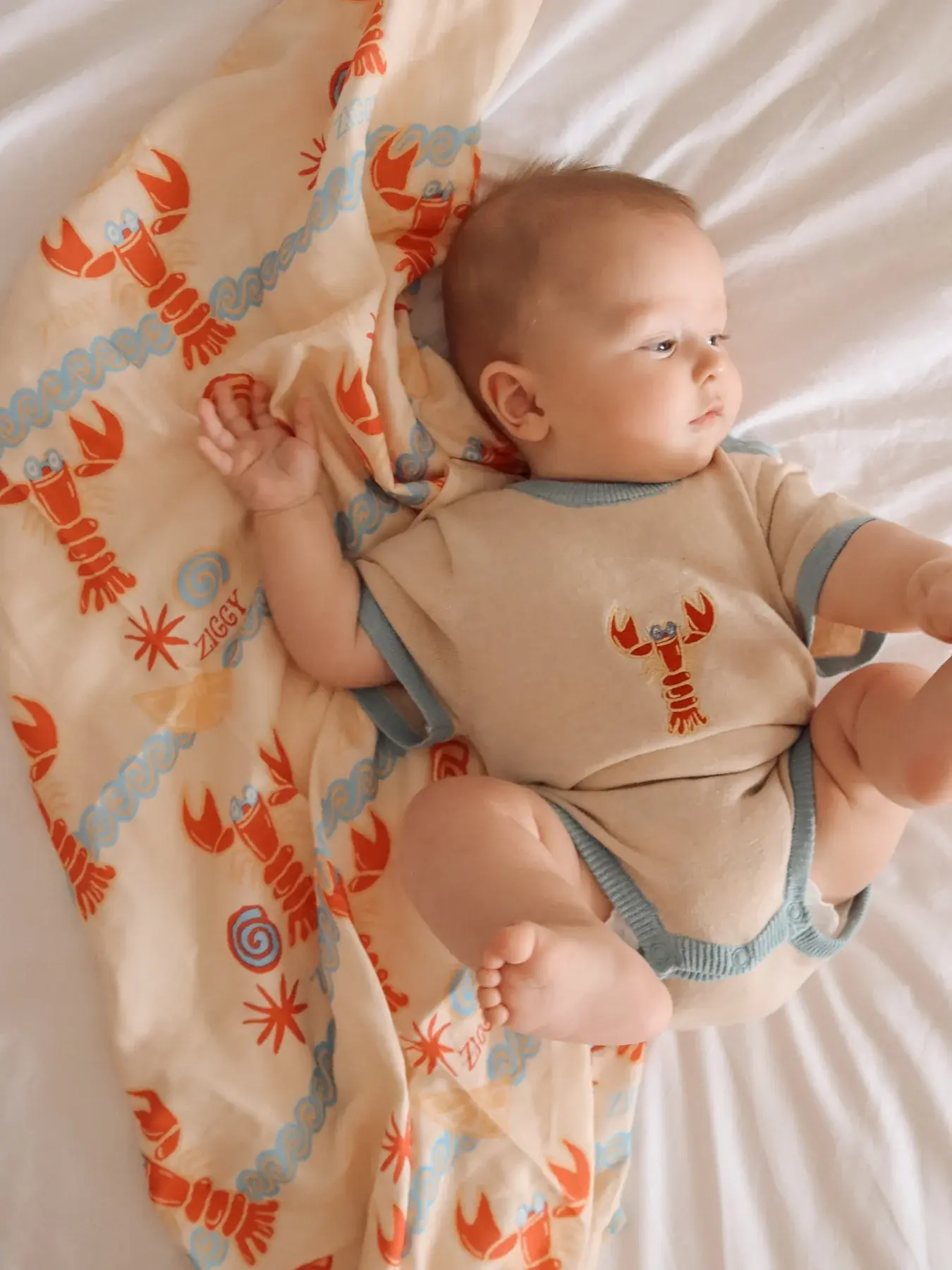 Ziggy Lou Ziggy Lou Swaddle Costa