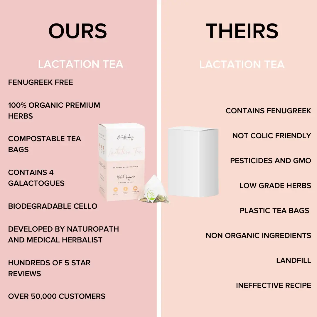 The Breastfeeding Tea Co The Breastfeeding Tea Co  Lactation Tea - (Pyramid Tea Bags | 20 Serves)