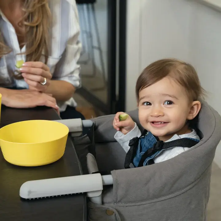 Childcare Childcare Lax Hook On High Chair - Moon Mist