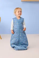 ErgoPouch ErgoPouch Premium Sleeping Bag 2.5 TOG Petit Pretzel