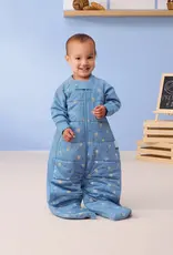 ErgoPouch ErgoPouch Sleep Suit Bag 2.5 TOG Petit Pretzel
