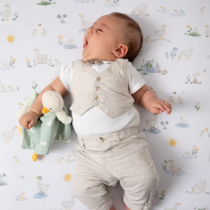 Living Textiles Living Textiles 2 Pack Organic Jersey Bedside Sleeper Fitted Sheets - Goosey Goosey