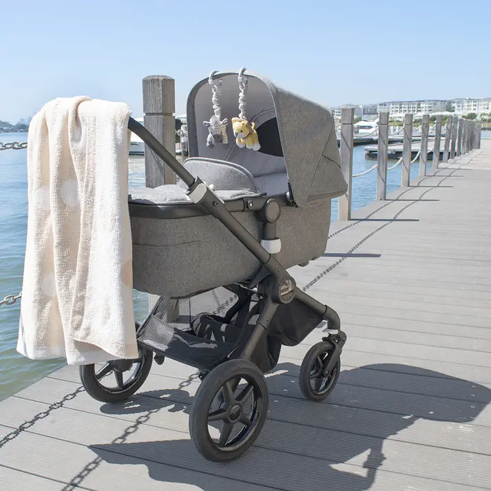 Living Textiles Living Textiles 2pk Stroller Toy Zebra & Lion