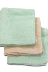 Bubba Blue Bubba Blue Sorbet Nordic 3 Pk Wash Cloth