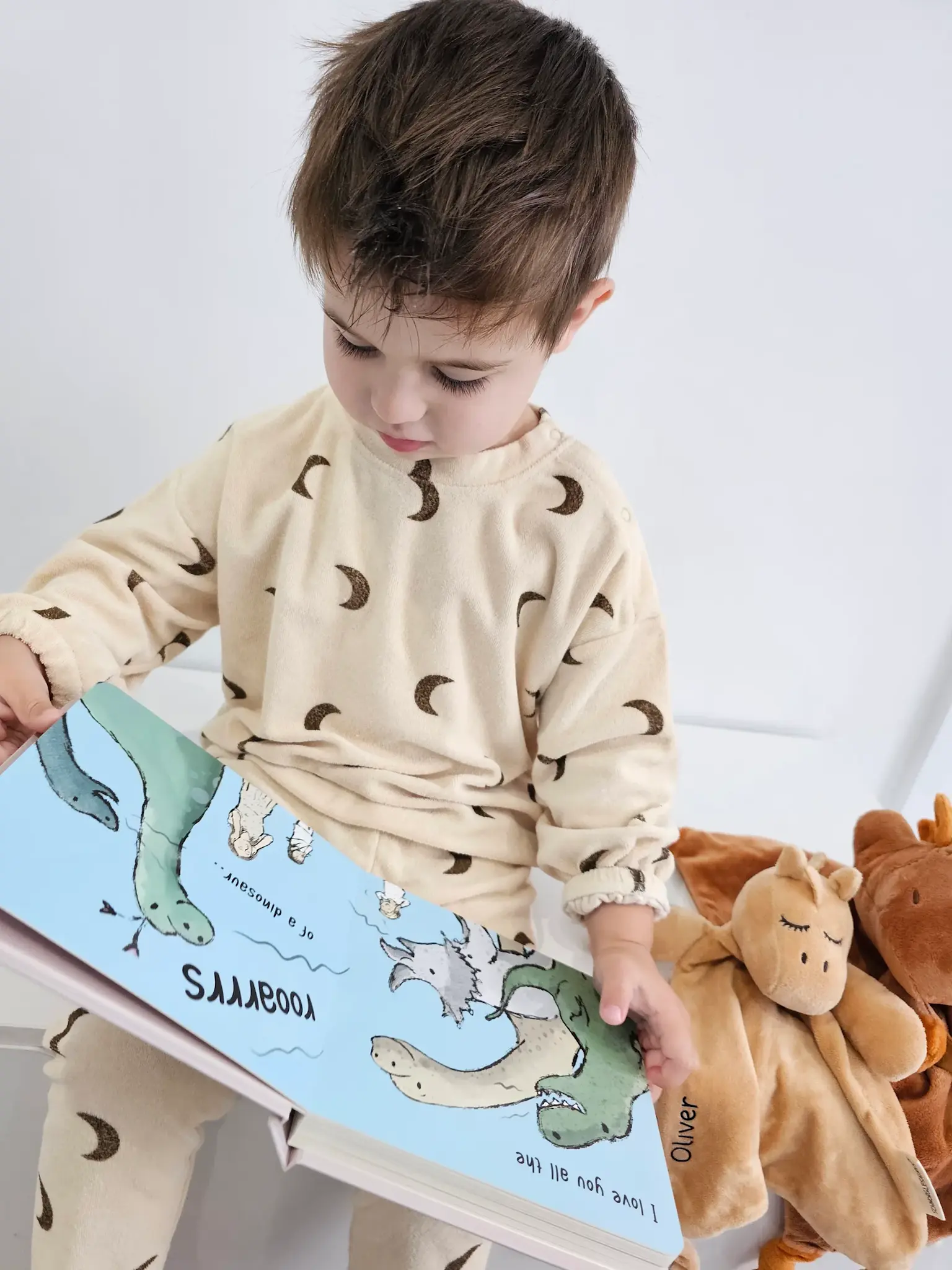 Schnorg Baby Schnorg Baby Love you all the Roars Luxury Board Book