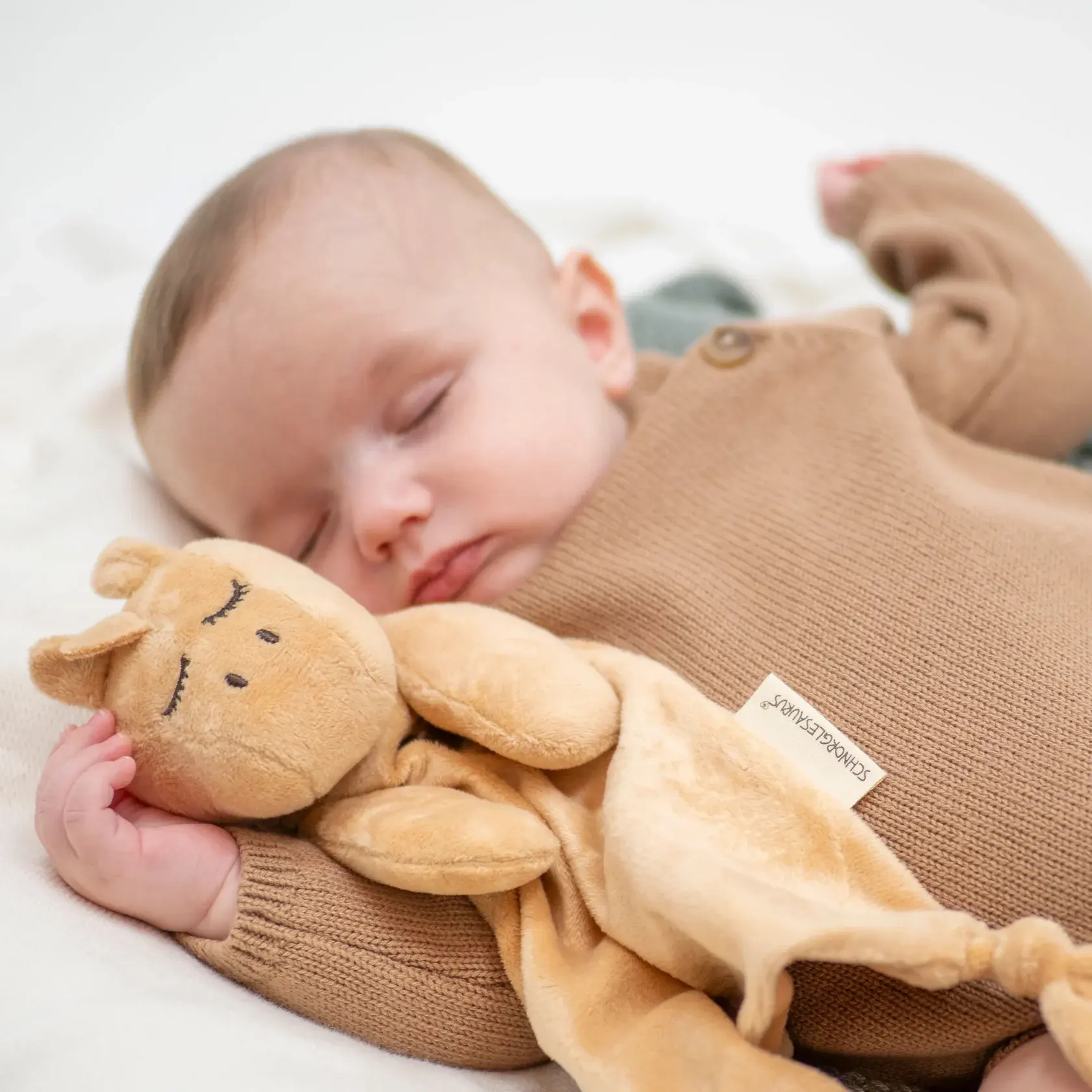 Schnorg Baby Schnorg Baby Schnorglesaurus Mini