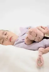 Schnorg Baby Schnorg Baby Schnorglesaurus Mini