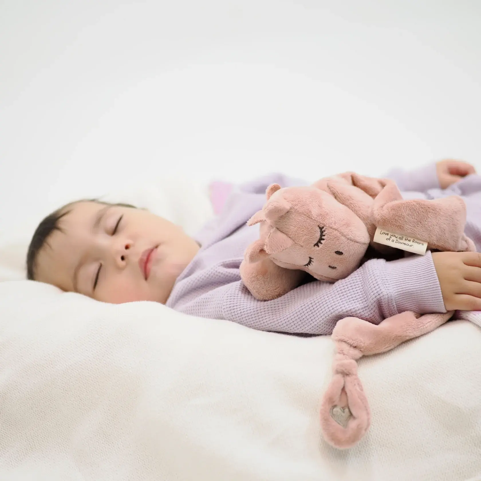 Schnorg Baby Schnorg Baby Schnorglesaurus Mini