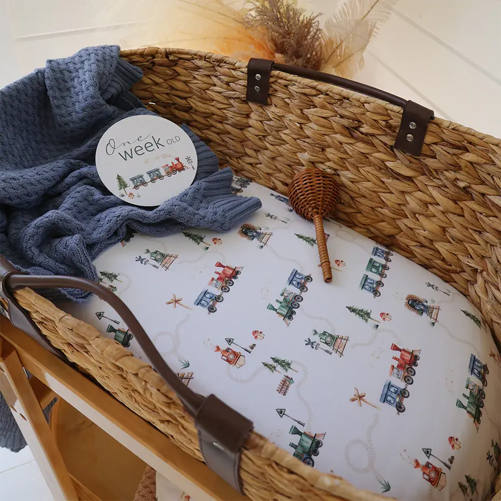 Snuggle Hunny Kids Snuggle Hunny Trains Organic Bassinet Sheet / Change Pad Cover