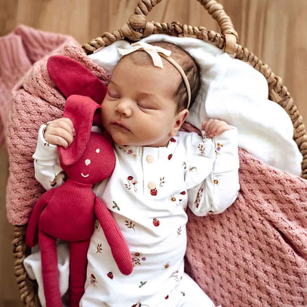 Snuggle Hunny Kids Snuggle Hunny Ladybug Organic Growsuit