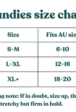 The Maternity Market The Maternity Market Fundies postpartum disposable underwear 5 pack