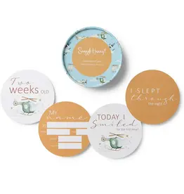 Snuggle Hunny Kids Snuggle Hunny Taking Flight & Pebble Reversible Milestone Cards