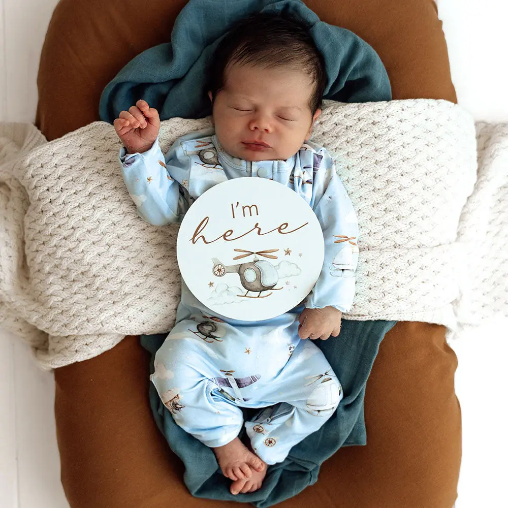 Snuggle Hunny Kids Snuggle Hunny Taking Flight & Pebble Reversible Milestone Cards
