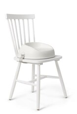 BabyBjorn BabyBjorn Booster Seat