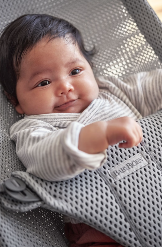 BabyBjorn BabyBjorn Bouncer Bliss Mesh