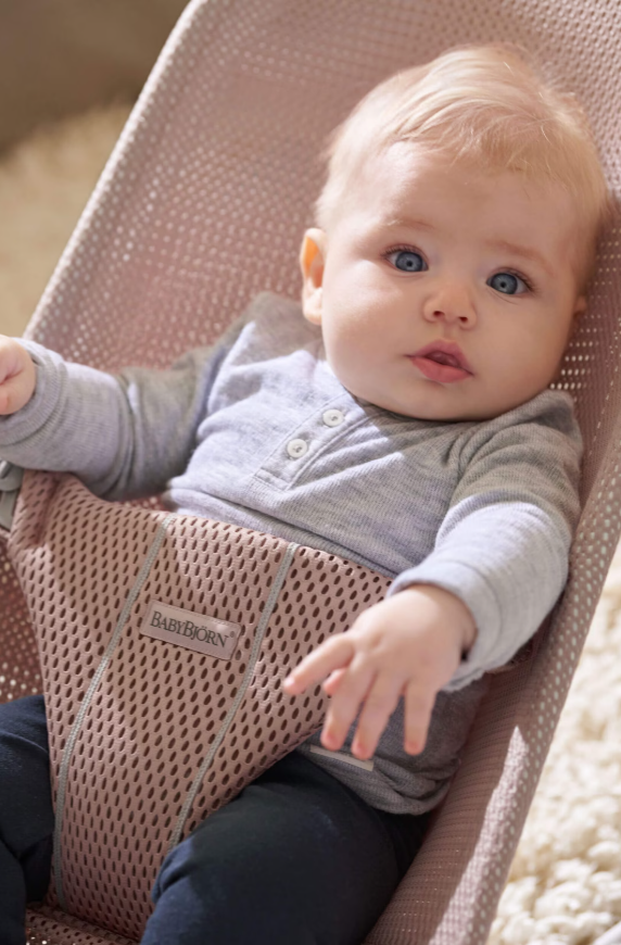BabyBjorn BabyBjorn Bouncer Bliss Mesh