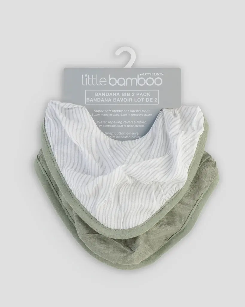 Little Bamboo Little Bamboo Muslin Bib 2Pk