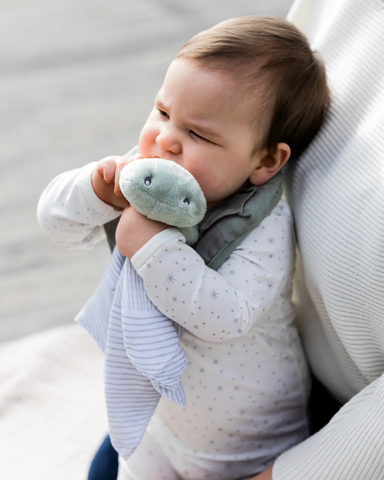 Little Bamboo Little Bamboo Muslin Bib 2Pk