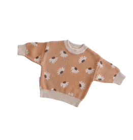 Ziggy Lou Ziggy Lou Jumper Hazel