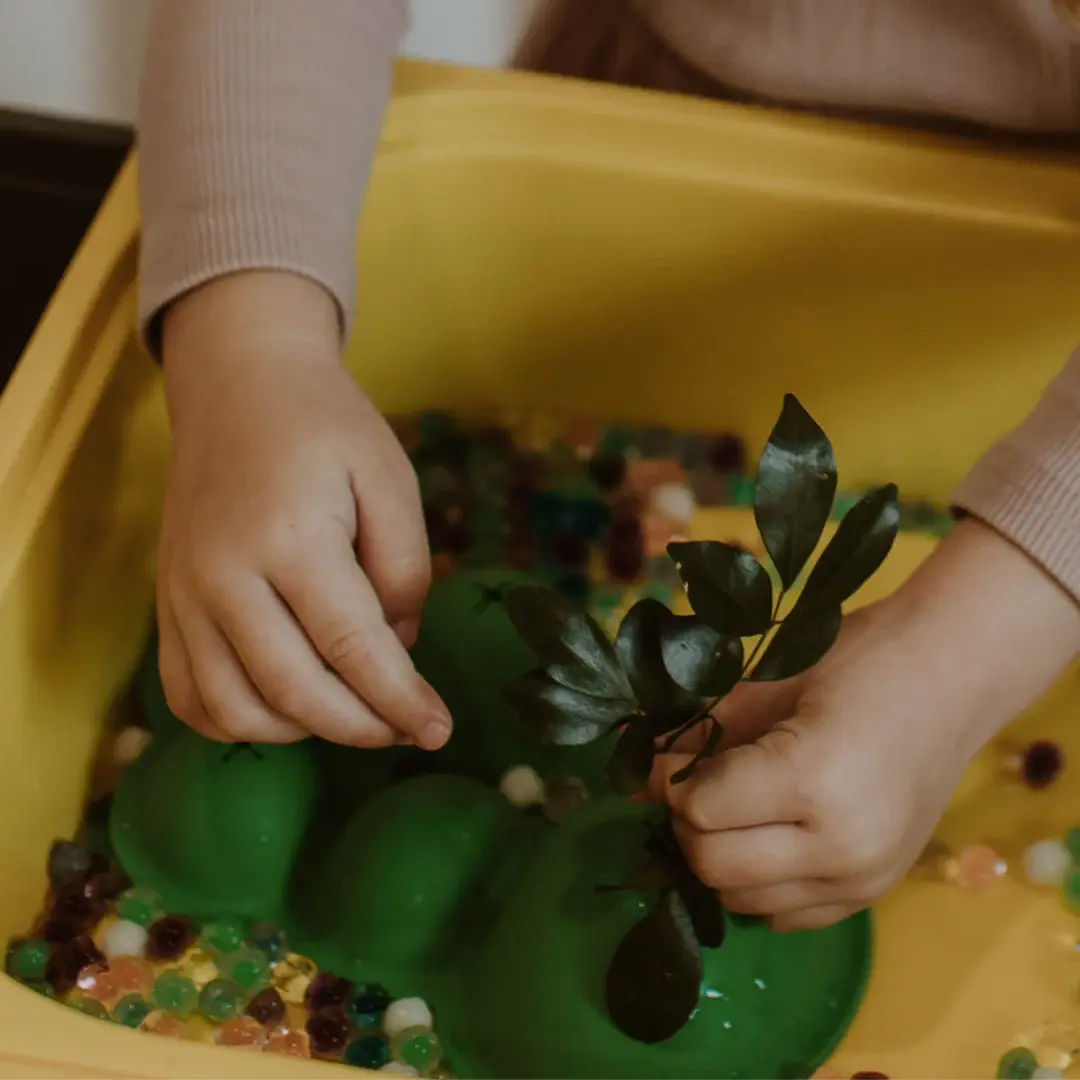 JellyStone Jellystone Sensory Scene Setters