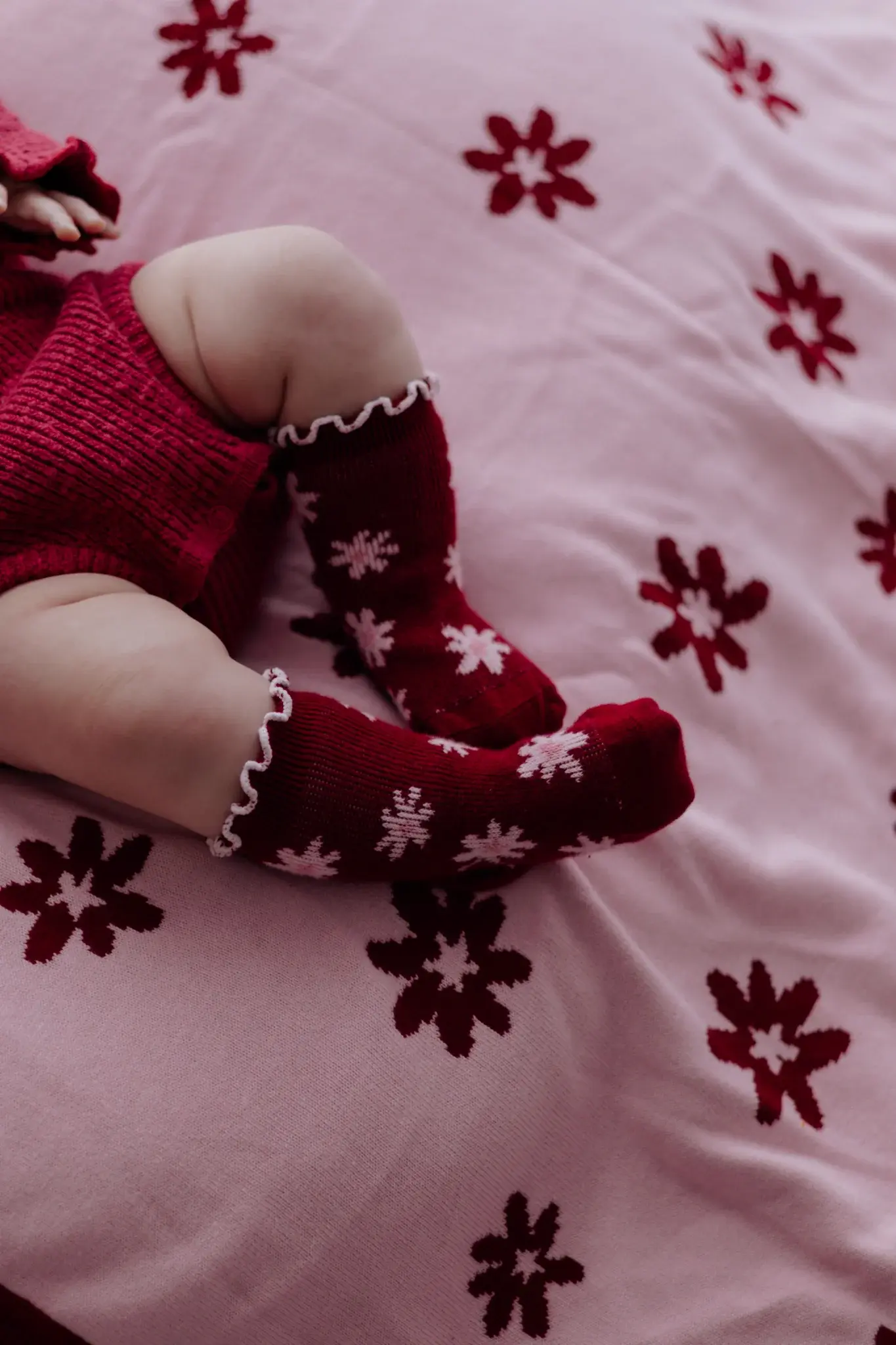 Ziggy Lou Ziggy Lou Socks Lola (Plum)